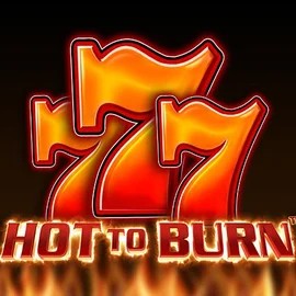 Hot To Burn logo by Pragmatic Play at Lizaro Casino